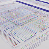 Beach Boys discography map Part One framed and displayed in a styled modern interior, landscape Giclée print by Mike Bell.