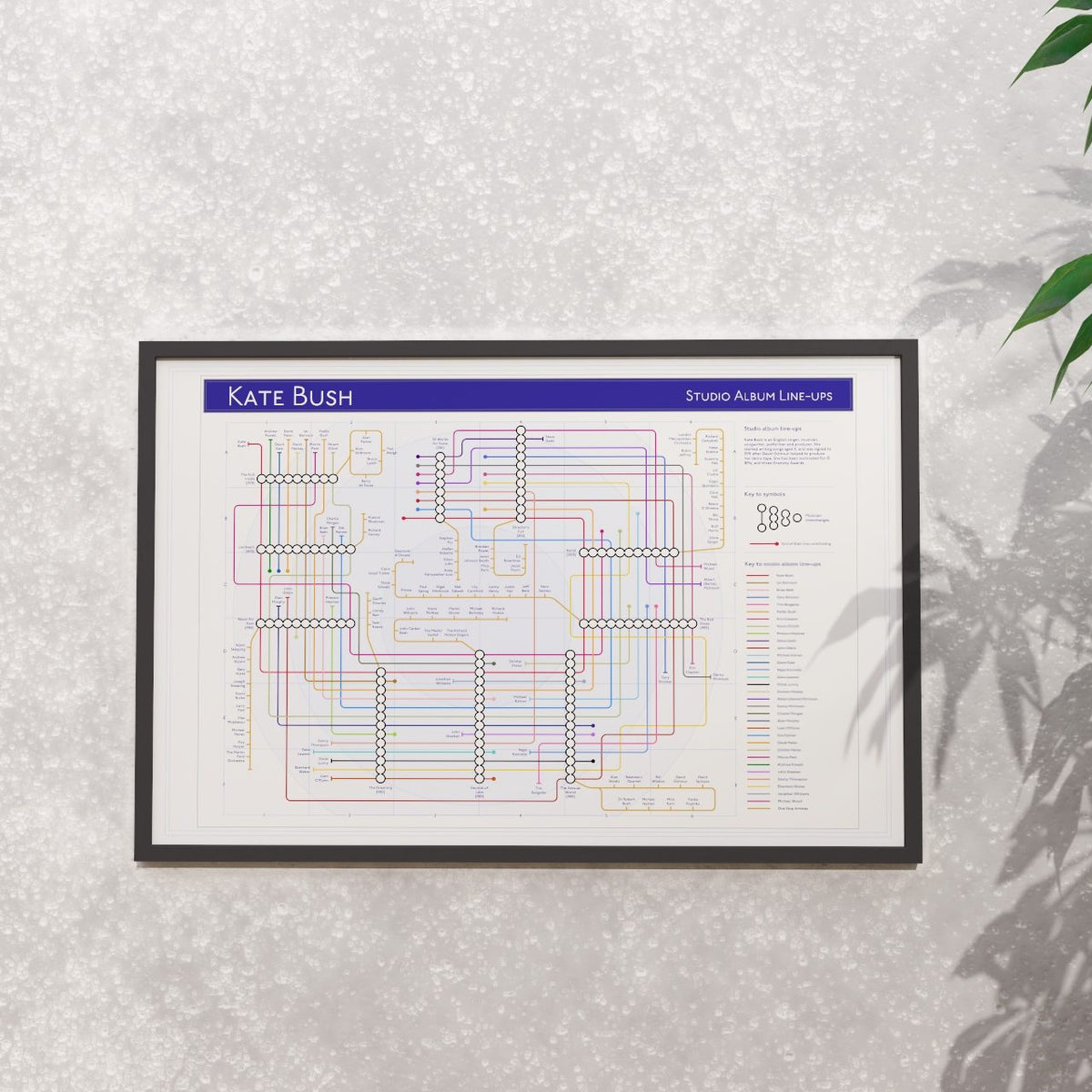Kate Bush discography map in 36x24in, framed Giclée wall art print of the studio albums, designed by Mike Bell.