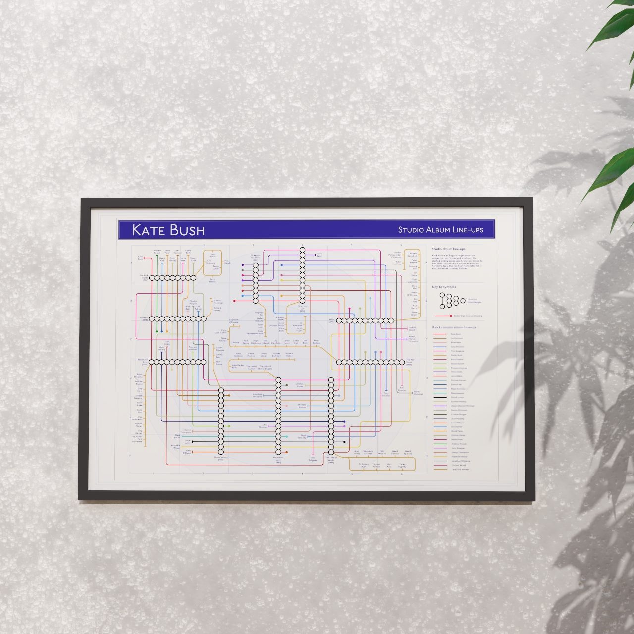 Kate Bush discography map in 36x24in, framed Giclée wall art print of the full studio catalogue, designed by Mike Bell.