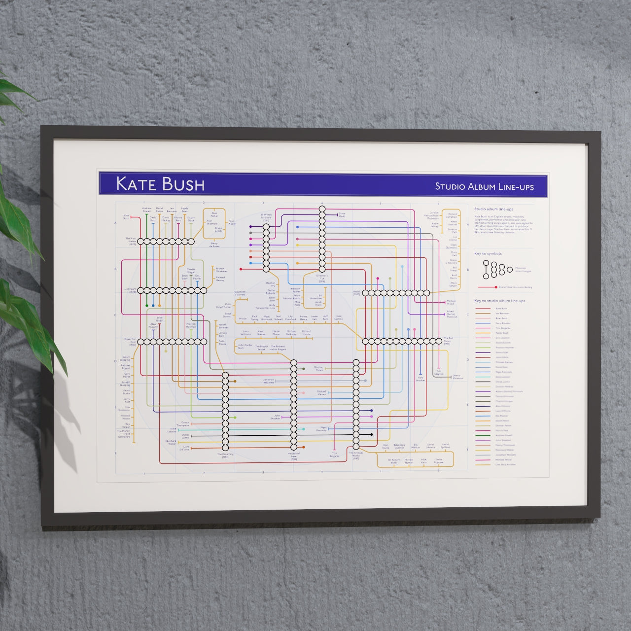 Large framed A1 Kate Bush discography wall art print mapping albums and musicians, distinctive music gift for dedicated fans