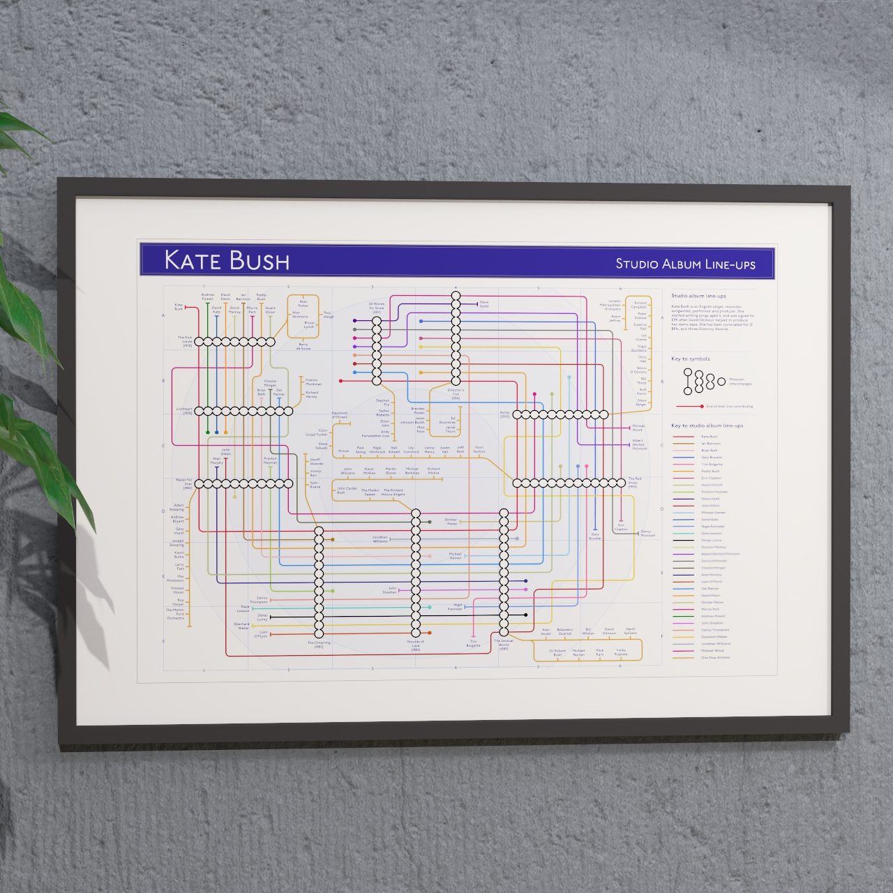 Ideal gift for Kate Bush fans - A1 framed Giclée discography tube map hung on a wall, showing every studio album in order, designed by Mike Bell at mikebellmaps.com.