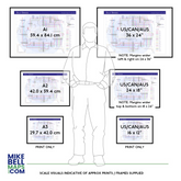 Music discography tube map art prints framed on a wall in A1, A2, 24x18in and 36x24in print sizes - ideal gift for music fans by Mike Bell at mikebellmaps.com.